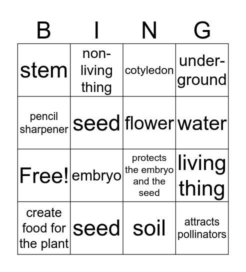 What do Plants Need?  Bingo Card