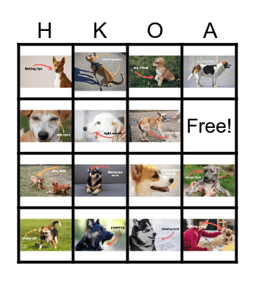Dog Body Language Bingo Card
