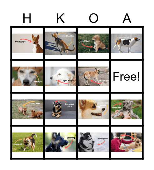 Dog Body Language Bingo Card
