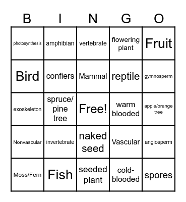Plant and Animal Classification Bingo Card