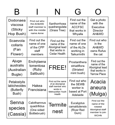 Getting to know plants and people Bingo Card