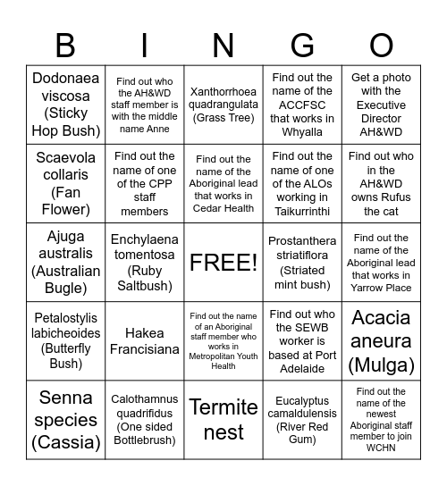 Getting to know plants and people Bingo Card