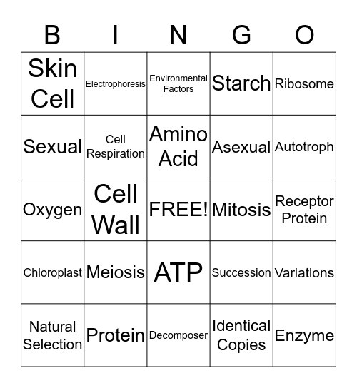 Regents Review Bingo! Bingo Card