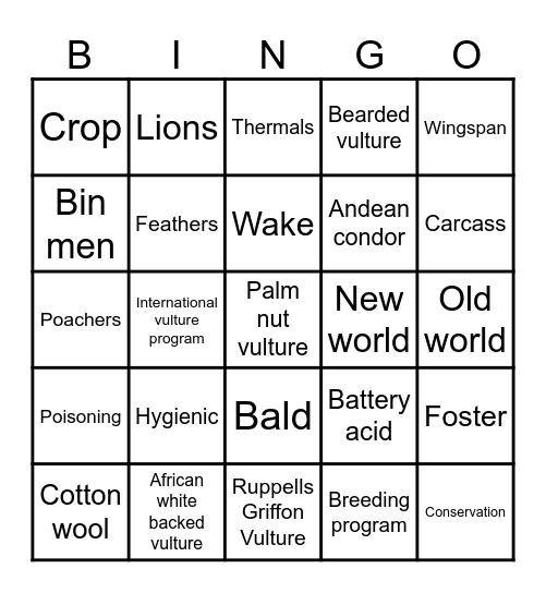 VULTURE CONSERVATION Bingo Card