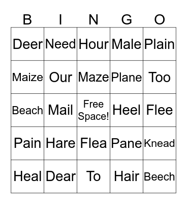 Homophones Bingo Card