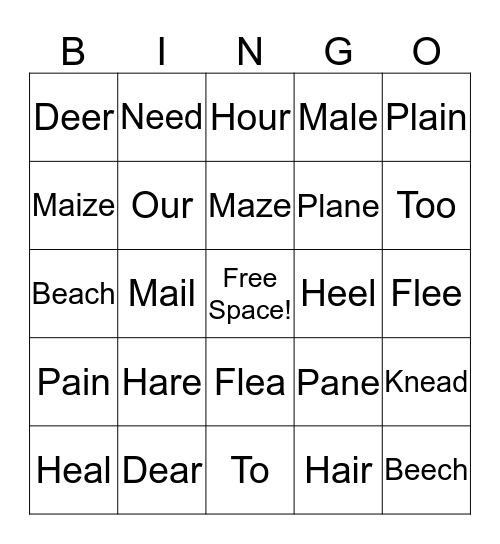 Homophones Bingo Card