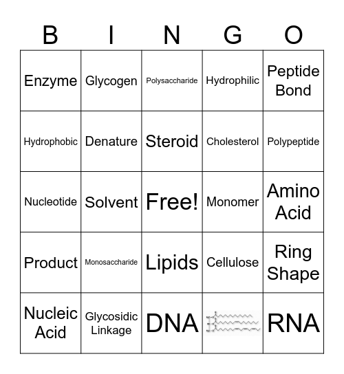 Macromolecules Bingo Card
