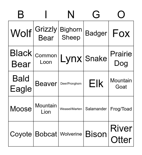 Dakotas Bingo Card
