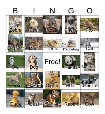 Baby Animals Bingo Card
