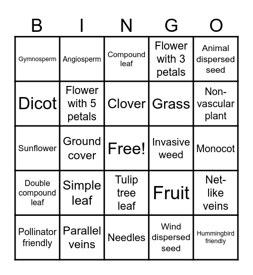 Plant Classification Bingo Card