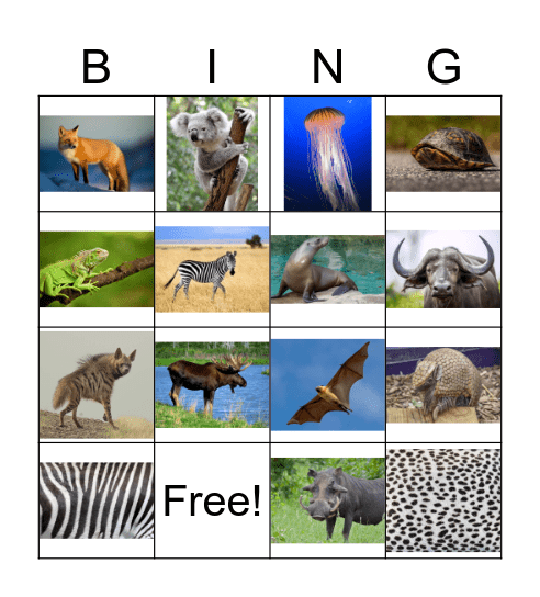 Animal Bingo Card