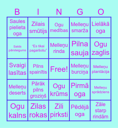Melleņu ballīte 2026 Bingo Card