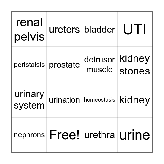 Urinary System Bingo Card