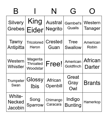 Wes' Bird Bingo! Bingo Card