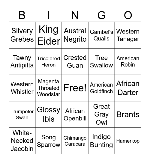 Wes' Bird Bingo! Bingo Card