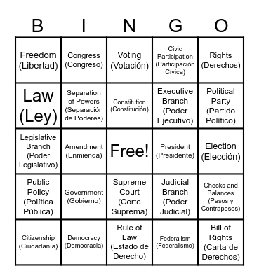 American Government Preview Bingo Card