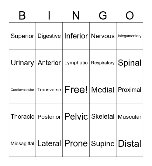 Intro to Anatomy Bingo Card