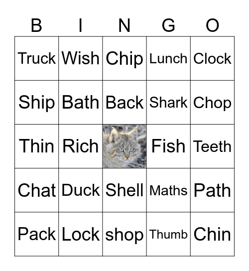 CK, SH, TH, CH Bingo Card