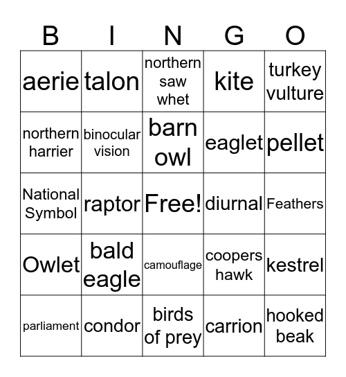 Eagle Watch Bingo Card