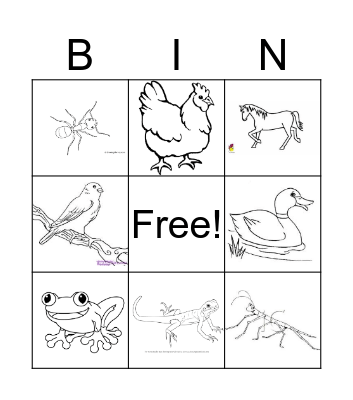 Animals Bingo Card