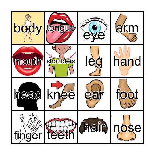 My body parts Bingo Card