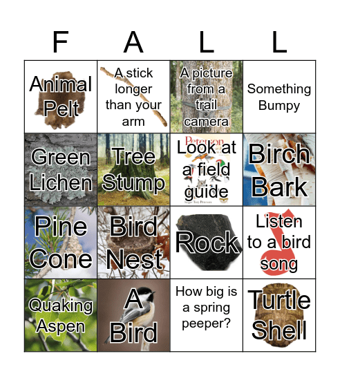 Fall at Chik Wauk Bingo Card