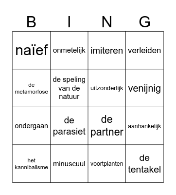 Bingo Staal Buitenissig les 5 Bingo Card