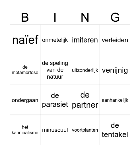 Bingo Staal Buitenissig les 5 Bingo Card