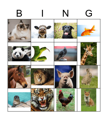 NGT les 1 Bingo Card