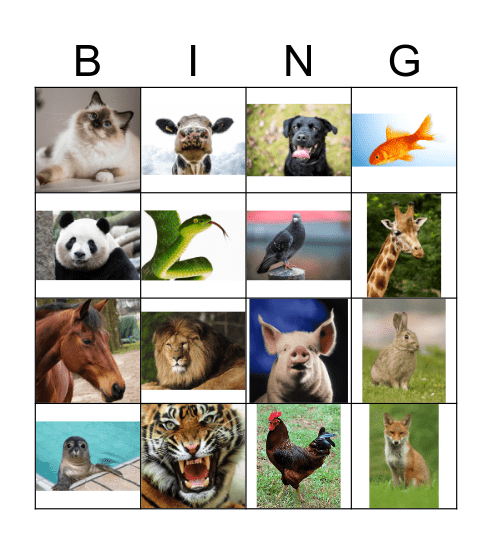 NGT les 1 Bingo Card