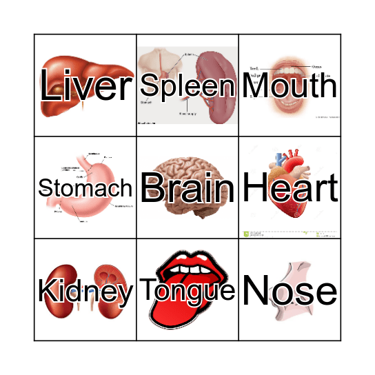 Human Body Organs Bingo Card