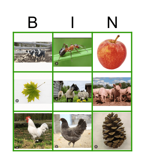 Naturbingo Card