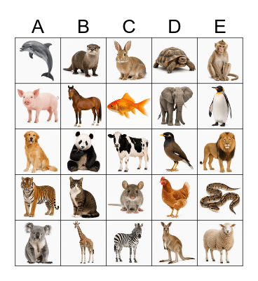 Animal Bingo Card