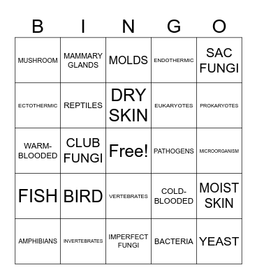 CLASSIFICATION OF ANIMALAS Bingo Card