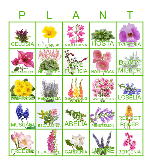 FLOWER Bingo Card