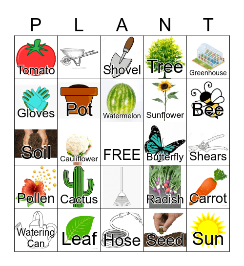 Plants Bingo Card