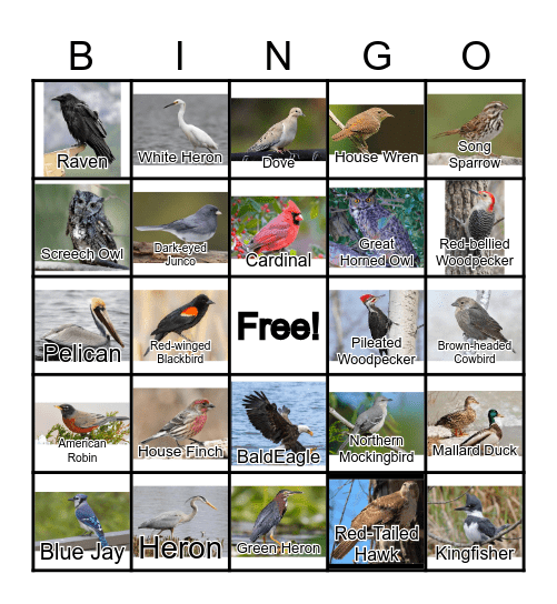 BIRDS Bingo Card