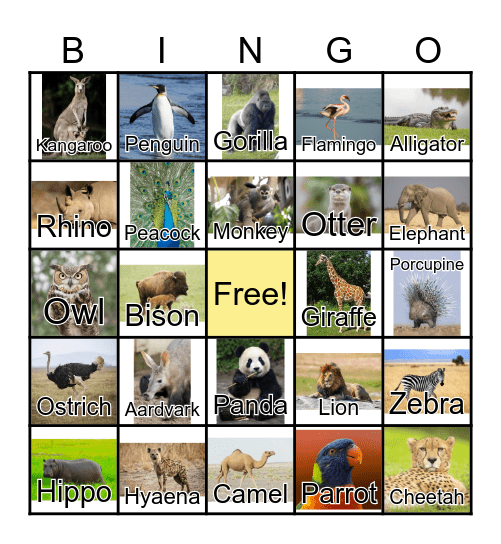 Zoo Animals Bingo Card