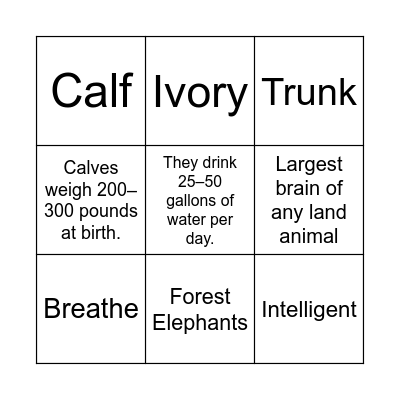 Elephant Bingo Card
