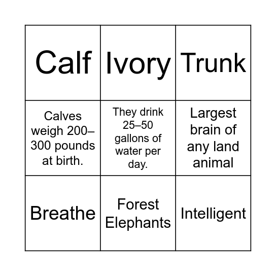 Elephant Bingo Card