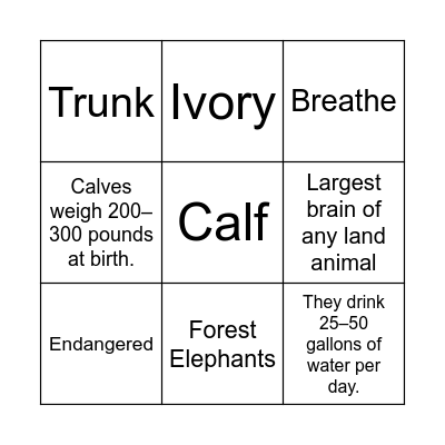 Elephant Bingo Card