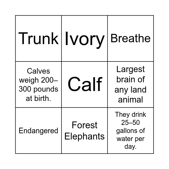 Elephant Bingo Card