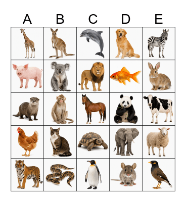 Animal Bingo Card