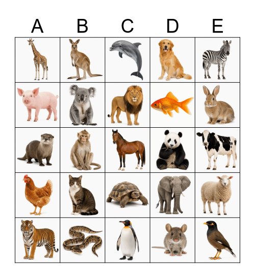 Animal Bingo Card