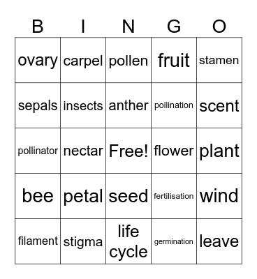 Life cycles of flowering plants Bingo Card