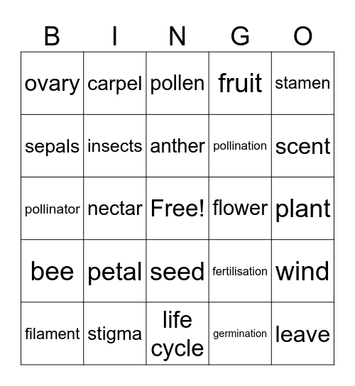 Life cycles of flowering plants Bingo Card
