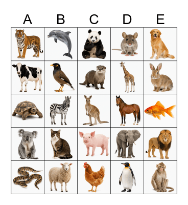 Animal Bingo Card