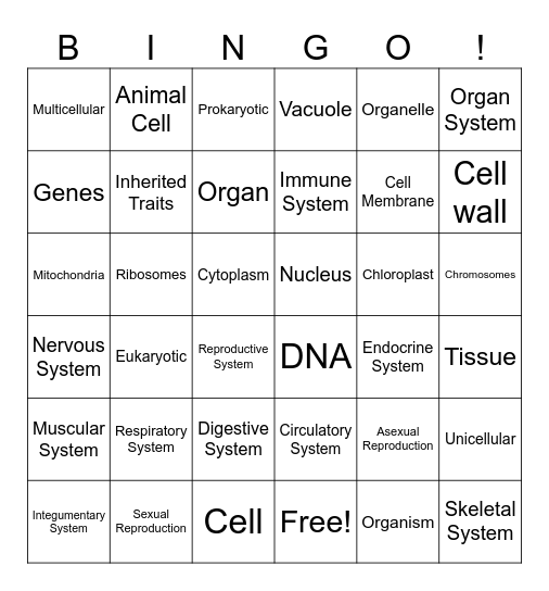 Biology Bingo Card