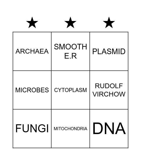 Name: Bingo Card