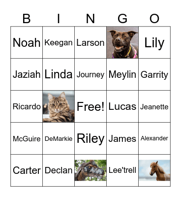 Name Bingo Card